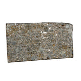 Météorite NWA 12577